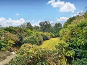 Photo 19- click for photo gallery